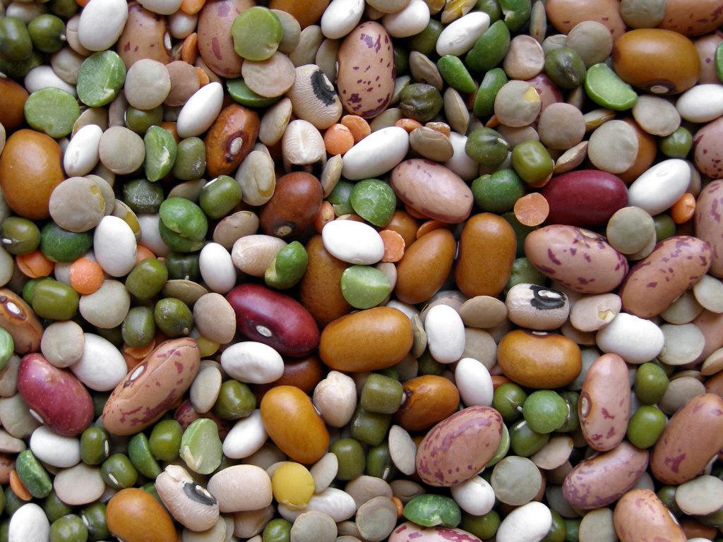 Beans dry mixed