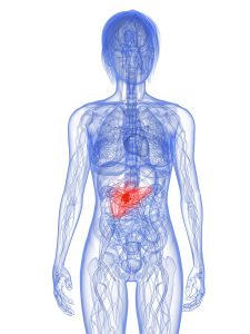 bigstock-pancreas-cancer-7771426